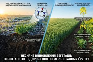 Весняне відновлення вегетації: перше азотне підживлення по мерзлоталому ґрунту фото